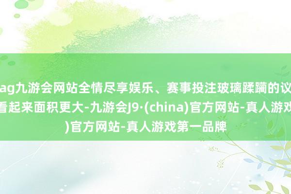 ag九游会网站全情尽享娱乐、赛事投注玻璃蹂躏的议论让室内看起来面积更大-九游会J9·(china)官方网站-真人游戏第一品牌