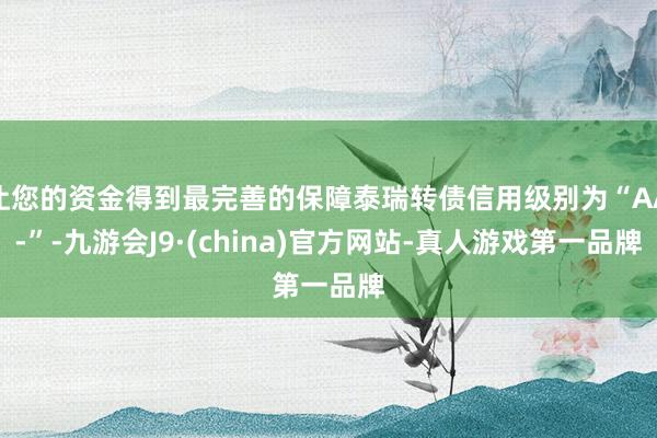 让您的资金得到最完善的保障泰瑞转债信用级别为“AA-”-九游会J9·(china)官方网站-真人游戏第一品牌