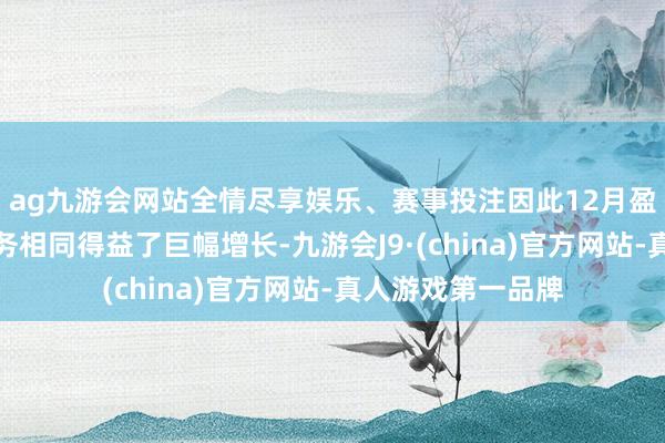 ag九游会网站全情尽享娱乐、赛事投注因此12月盈透证券的收费业务相同得益了巨幅增长-九游会J9·(china)官方网站-真人游戏第一品牌