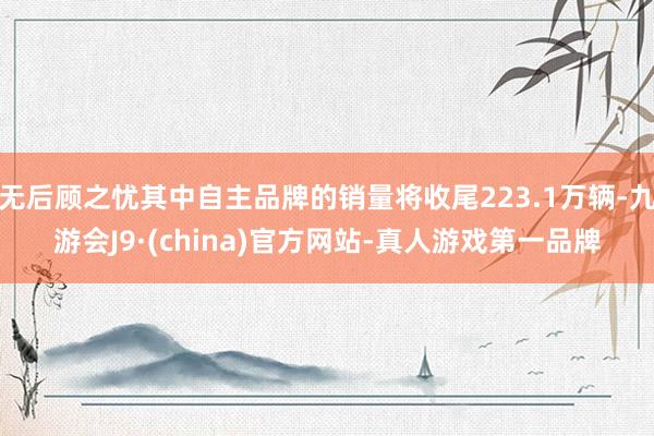 无后顾之忧其中自主品牌的销量将收尾223.1万辆-九游会J9·(china)官方网站-真人游戏第一品牌